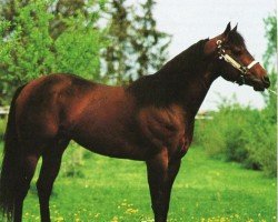 Deckhengst Hobbit's Zip (Quarter Horse, 1986, von Expensive Hobbit)