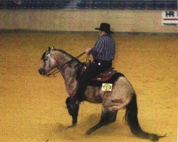 Pferd IM No Dun it (Quarter Horse, 1990, von Kaliman)