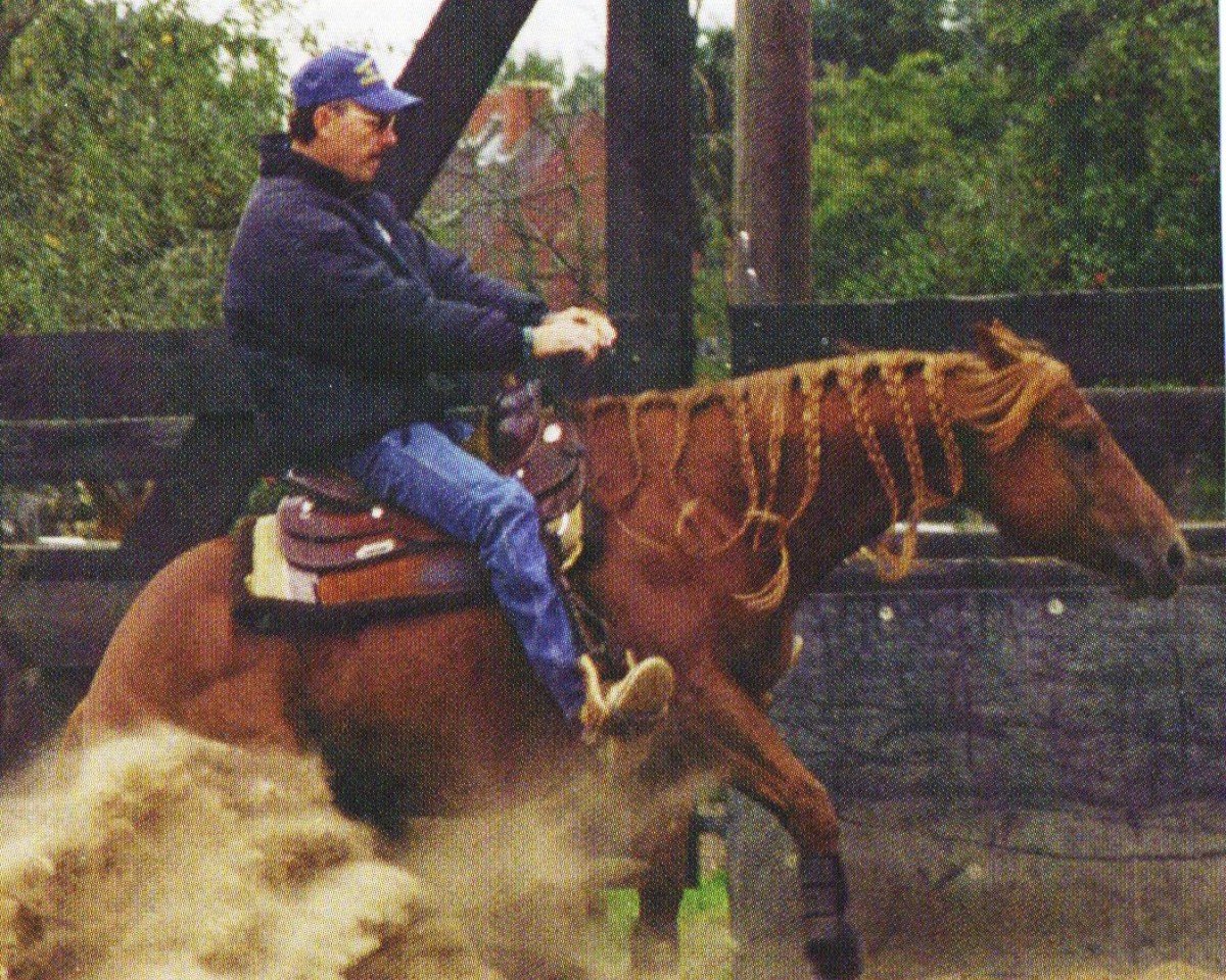 Pferd Flashy N Foxy (unbekannt,  )