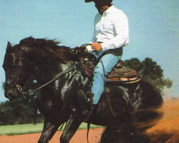 Deckhengst Elite Eldorado (Quarter Horse, 1986, von Topsail Cody)