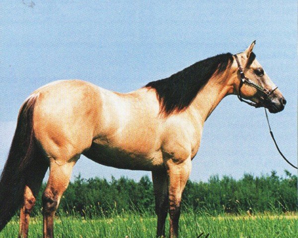 stallion Hooray For Dun It (Quarter Horse, 1990, from Hollywood Dun It)