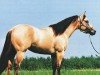 stallion Hooray For Dun It (Quarter Horse, 1990, from Hollywood Dun It)