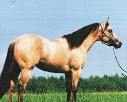 stallion Hooray For Dun It (Quarter Horse, 1990, from Hollywood Dun It)