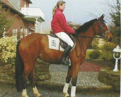 broodmare Fina Firella (Westphalian, 1997, from Florestan I)