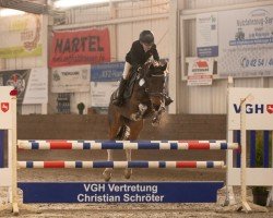 jumper Arabella 687 (German Riding Pony, 2012, from Alswin)