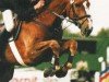 Pferd Darius 346 (Westfale, 1995, von Diamo)