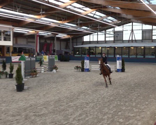 Reitturnier Oberriet 2025