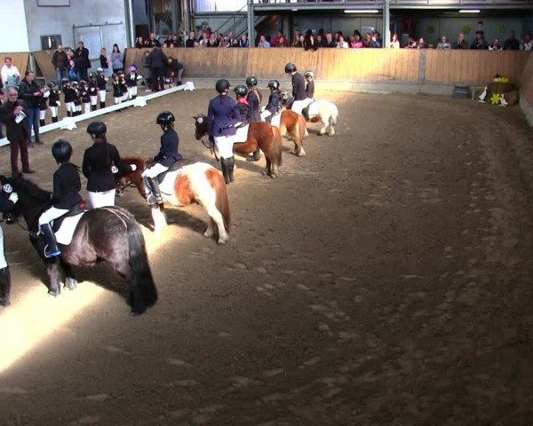 Reitturnier Freudenberg 2025