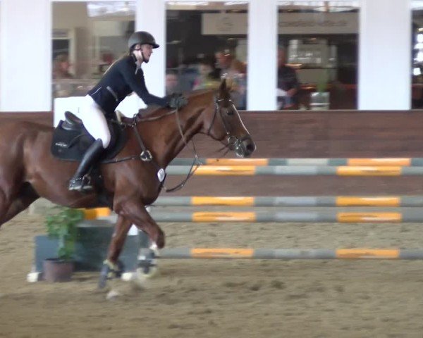 Reitturnier Coesfeld / Lette 2025