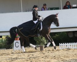 dressage horse Claire (Württemberger, 2001, from Carismo II 123 FIN)