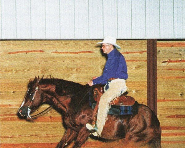 stallion Genuinely Smart (Quarter Horse, 1992, from Smart Chic Olena)