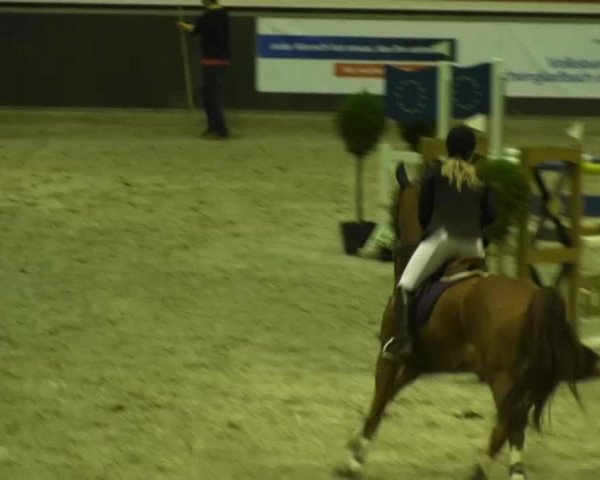 Springturnier auf dem Abtshof 2013