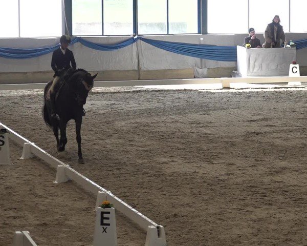 Reitturnier Buchs ZH 2025