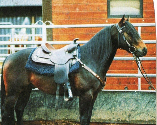 stallion Her Taris Star (Quarter Horse, 1993, from Taris Catalyst)