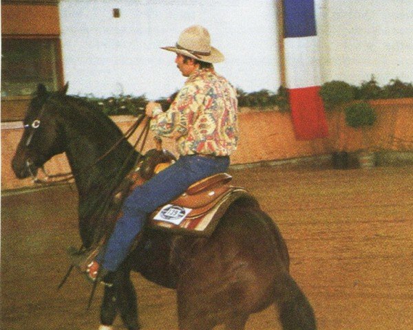 stallion Dandy Texas Remedy (Quarter Horse, 1988, from Doc's Remedy)