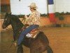 Deckhengst Dandy Texas Remedy (Quarter Horse, 1988, von Doc's Remedy)