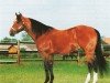 Deckhengst Docowarlee (Quarter Horse, 1984, von Doc OLena)