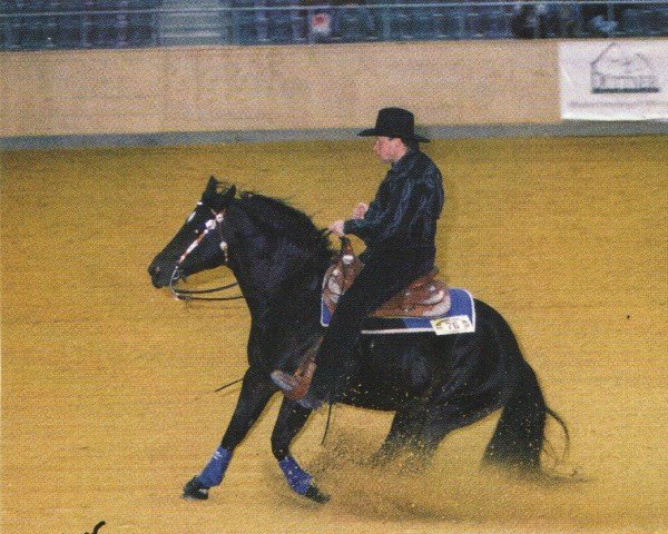 Deckhengst Diamonds B Forever (Quarter Horse,  , von Diamond B Okie)