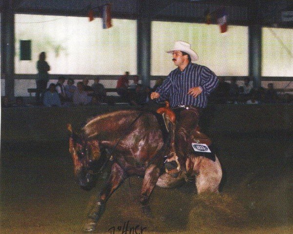 stallion Frostys Chic Olena (Quarter Horse, 1991, from Smart Chic Olena)