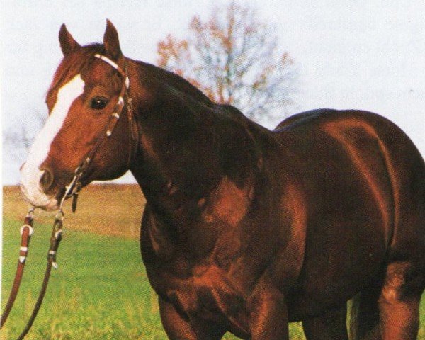 stallion Fourteen Karat Jac (Quarter Horse, 1986, from Crome Plated Jac)