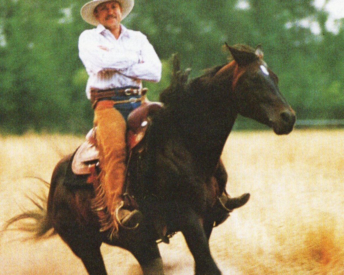 stallion Cause Of It All (Quarter Horse, 1986, from Taris Catalyst)