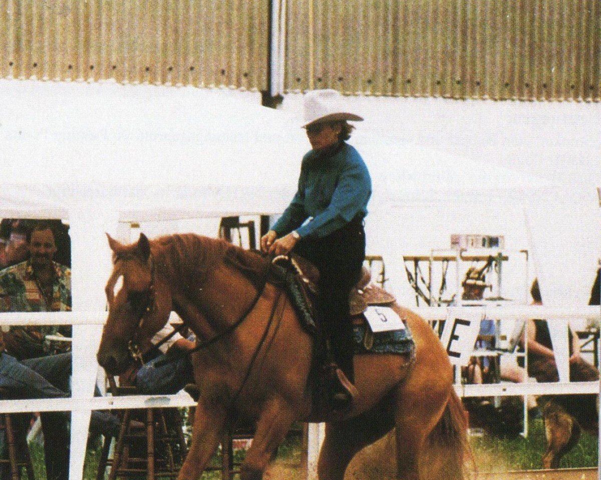 Deckhengst Eldorado Cody Jac (unbekannt,  )