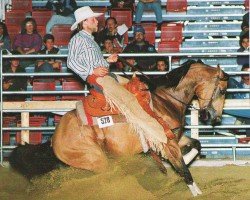 Pferd Docs Vaquero Chex (Quarter Horse, 1987, von Doc Chex)