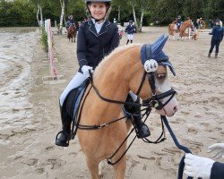 dressage horse Beauty (Nederlands Welsh Ridepony, 2018)