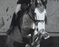 broodmare Franziska (Württemberger, 1997, from Lord Incipit)