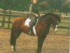 broodmare Limone (Hanoverian, 1990, from Lemon Tree)