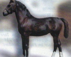 broodmare Zorah (Sachs-door. Heavy Warmbl., 2005, from Veritas)