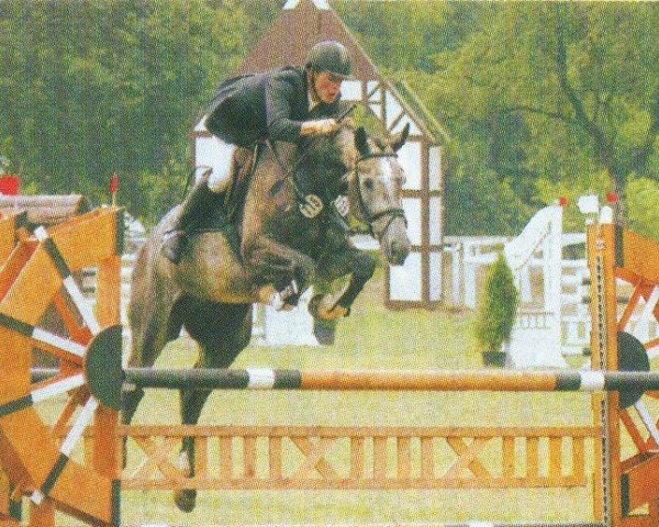 horse Prolog 10 (Hanoverian, 2001, from Plural)