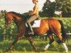 dressage horse Pokerface 18 (Hanoverian, 1996, from Picard)