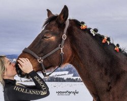 horse Lacoste pour femme (Bavarian, 2002, from La Pilot)