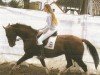 dressage horse Fandango 221 (Westphalian, 2002, from Floresco NRW)