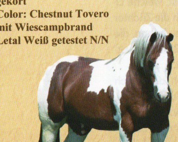 Deckhengst Skips Chore (Paint Horse, 1989, von Skip A Story)