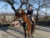 Springpferd De Nada 12 (Spanisches Sportpferd, 2015)