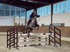 broodmare Arielle S (Oldenburg show jumper, 2019, from Hickstead White)