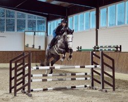 broodmare Arielle S (Oldenburg show jumper, 2019, from Hickstead White)