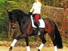 broodmare Salila (Hanoverian, 1997, from Sugunas xx)