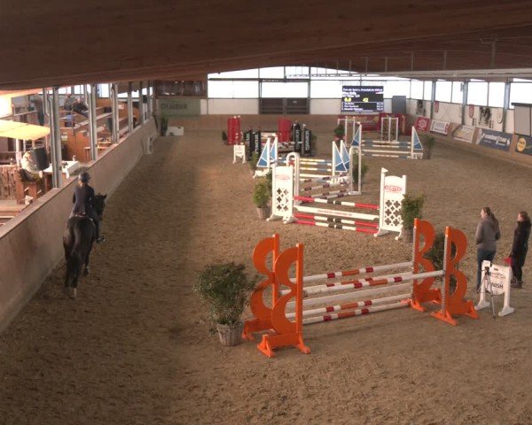 Reitturnier Westbarthausen 2025