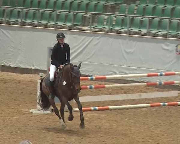 Reitturnier Kreuth 2025