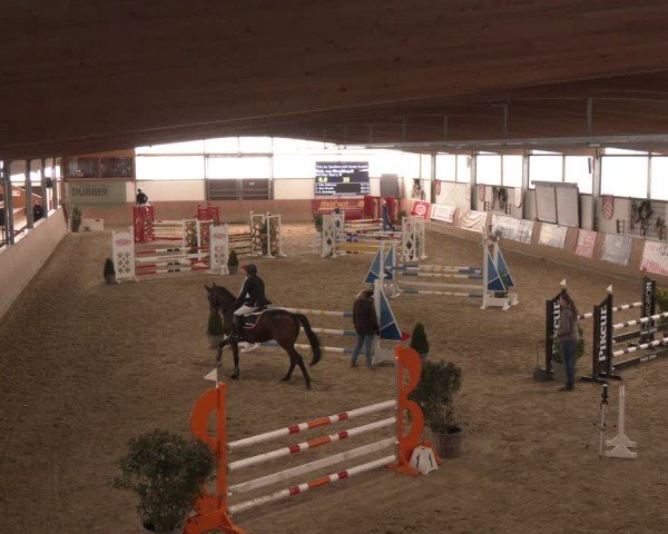 Reitturnier Westbarthausen 2025
