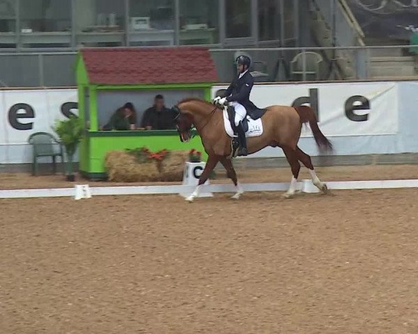 Reitturnier Kreuth/Opf. 2021