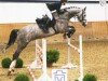 Springpferd Cralido (Holsteiner, 2016, von Crumble)