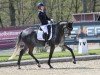 dressage horse Four Rocks (Hanoverian, 2018, from Fürstenball)