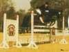 horse Gwyneth 2 (Oldenburg, 1993, from Grundsee)