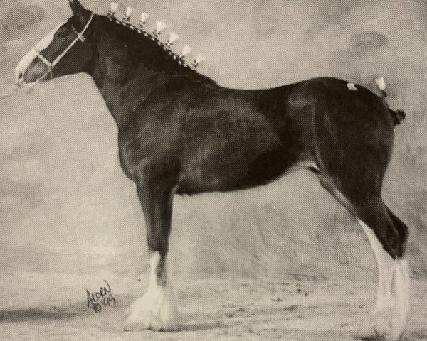 broodmare Ellengowan Sensational Reta (Clydesdale, 1997, from Doura Sensation)