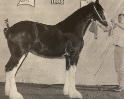 broodmare Armageddon's Mistress Sabrina (Clydesdale, 1998, from Broadlea Classic Joe)