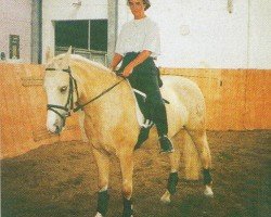 dressage horse Twilight 16 (German Riding Pony, 1997, from Top Nonstop)